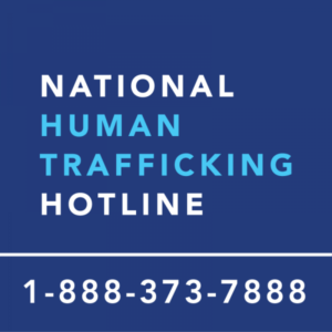 human trafficking hotline