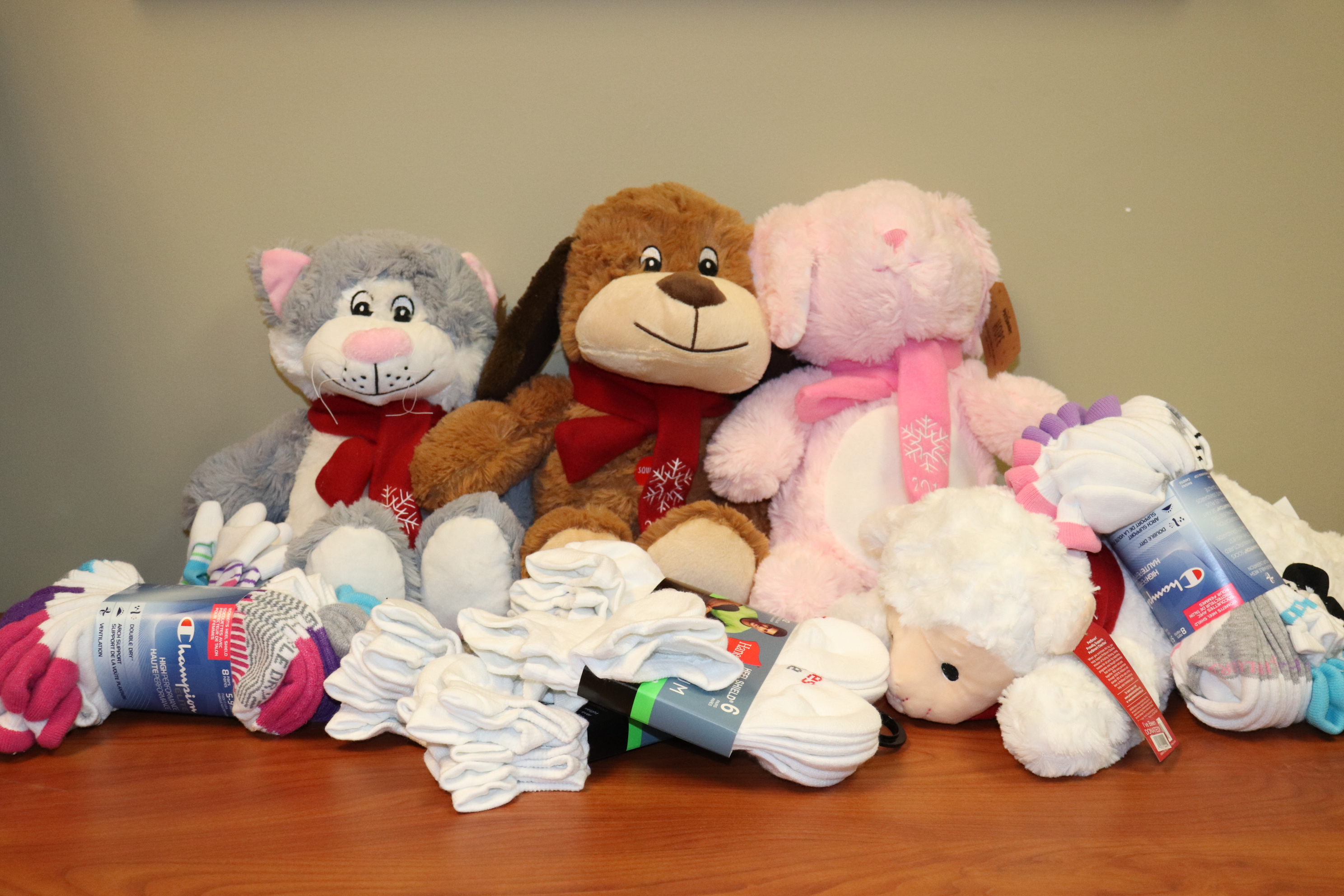 Canopy Children’s Solutions Receives In-Kind Donations from National Brand Partners